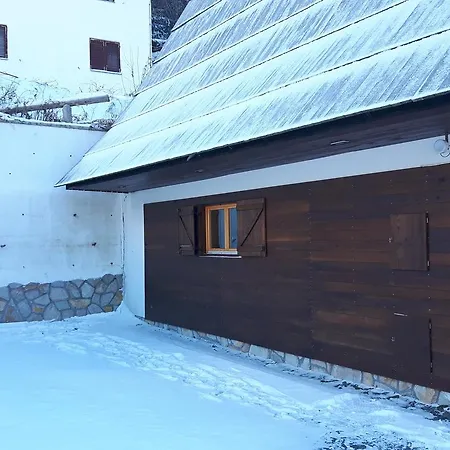 Elena Tatil Evi Kopaonik