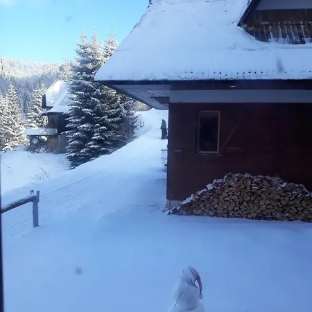 Elena Semesterbostad