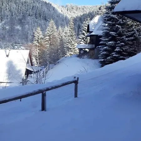 Elena * Kopaonik