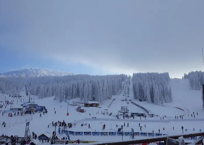 Elena Prázdninový dům *