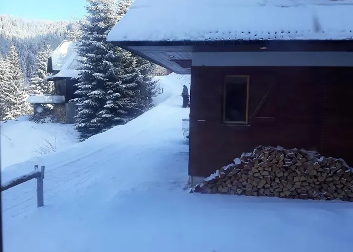 Elena Prázdninový dům